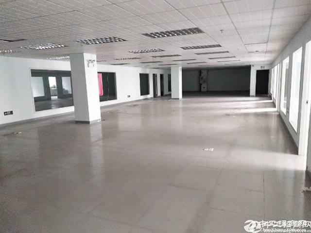 1556527265307304.jpg 8.jpg