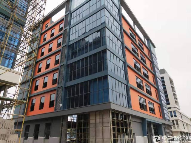 48.jpg