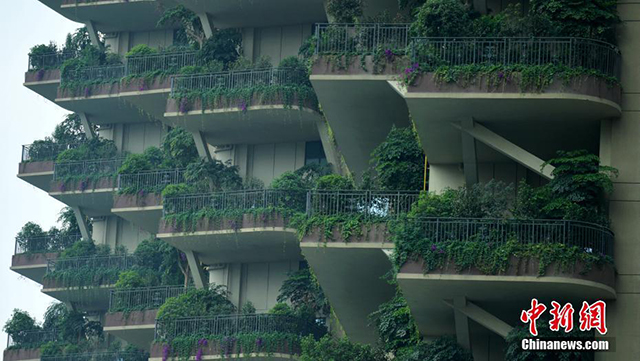 垂直森林住宅3.jpg