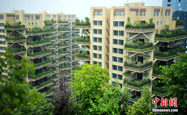 垂直森林住宅5.jpg