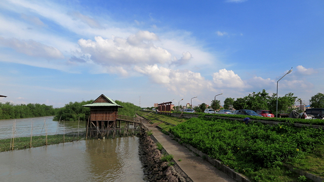 1558409114265038.jpg 海鸥岛.jpg