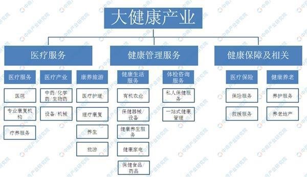 大健康产业架构.jpg