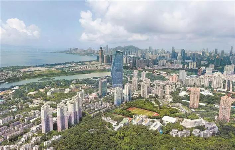 从空中俯瞰深圳湾，高楼鳞次栉比.jpg
