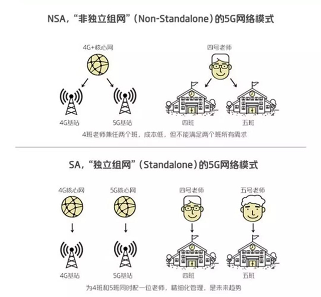 NSA与SA.jpg