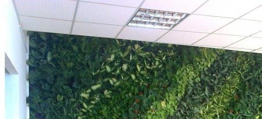 如何去除办公室装修后的异味 