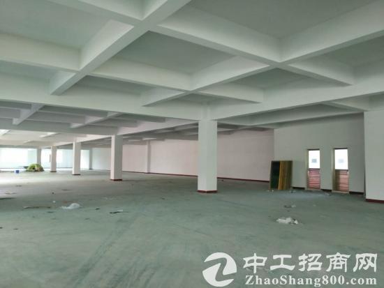 黄江镇全新工业园厂房综合楼出租-图2