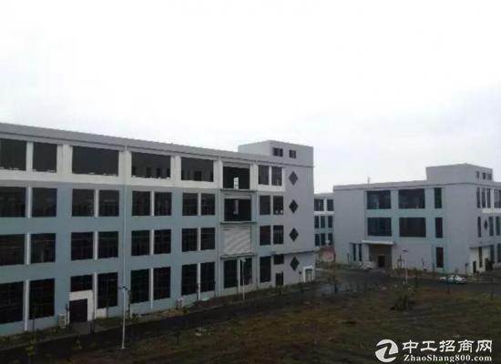 舒城电子信息港3000平米全新框架结构厂房出租