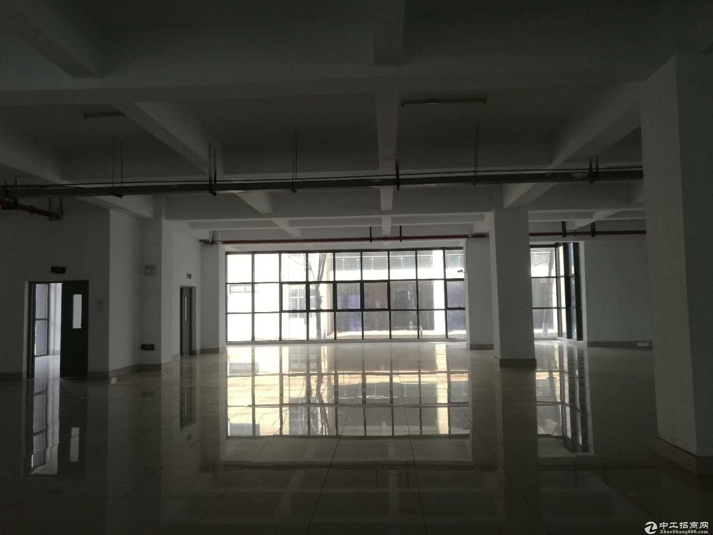 镇江新区4500平方米标准厂房出租-图3