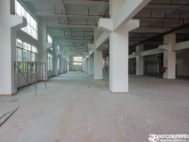 凤岗全新独院厂房一楼2200平米可分租