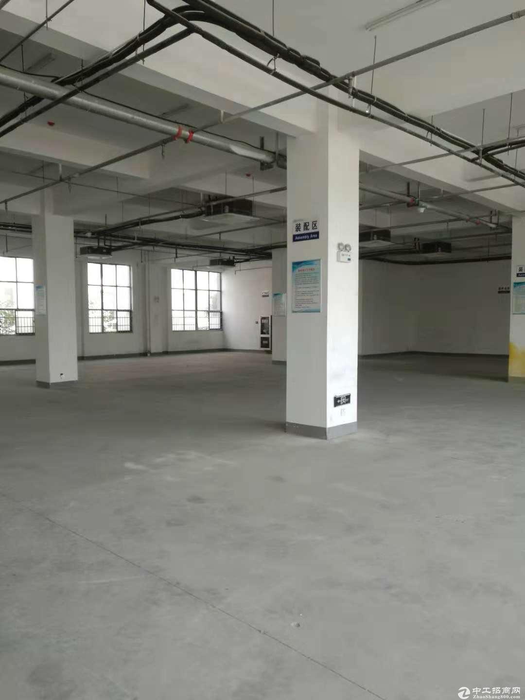 包河工业园一楼整层一千平厂房小车可入