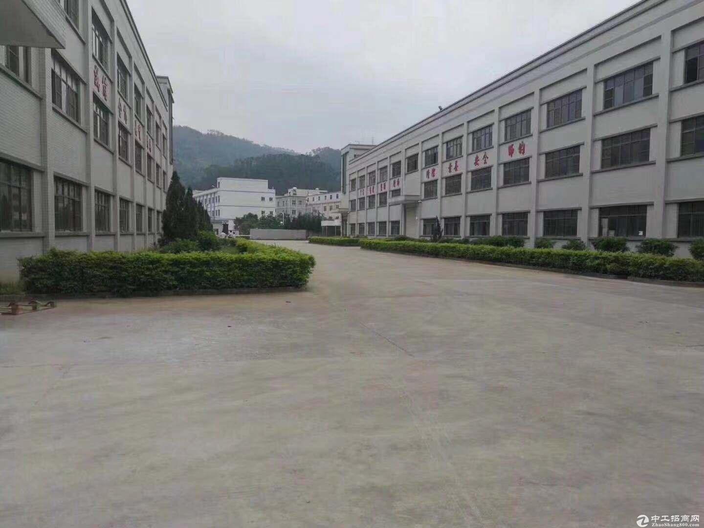 宝龙可做学校厂房出租35000平米可分租产权清晰证件齐全