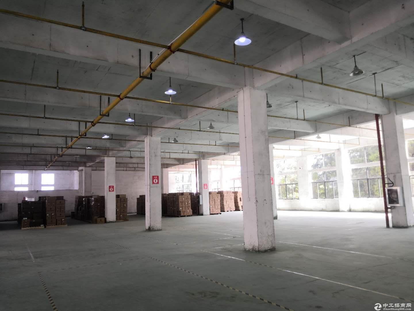 黄陂五湖靠近地铁口3000平标准厂房，可做仓库和轻加工