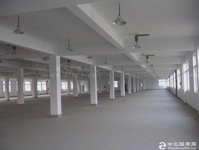 江宁高新区1600-4800平厂房，50年产权双证，可按揭