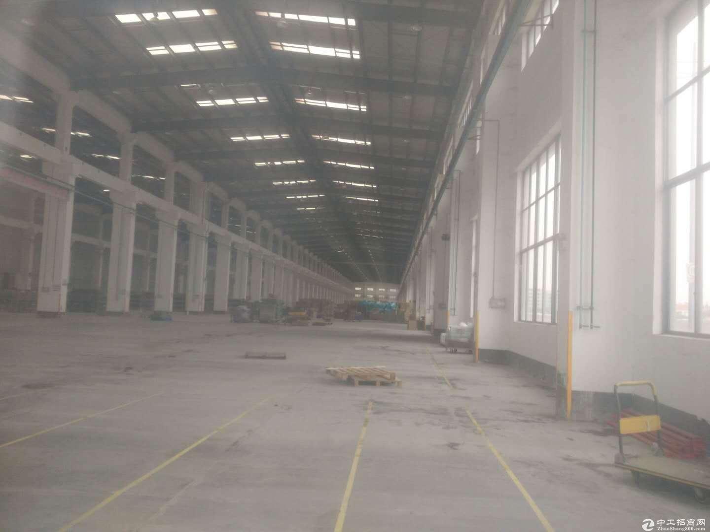 仓库厂房10000平红本钢构，原房东 高度15米