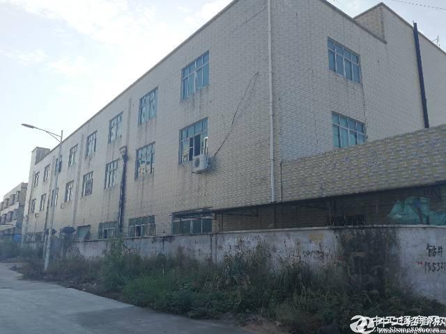 深圳龙岗坪地标准独院3800平方厂房出售