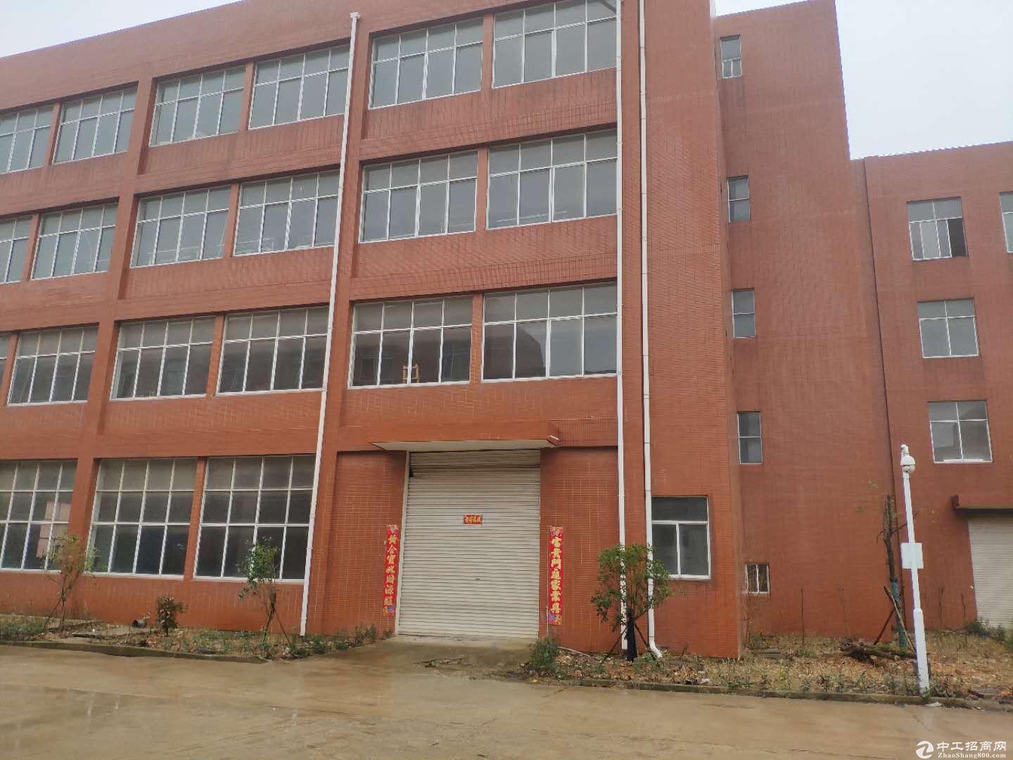 阳逻厂房出售 健强科技产业园2413平米独栋框架厂房出售