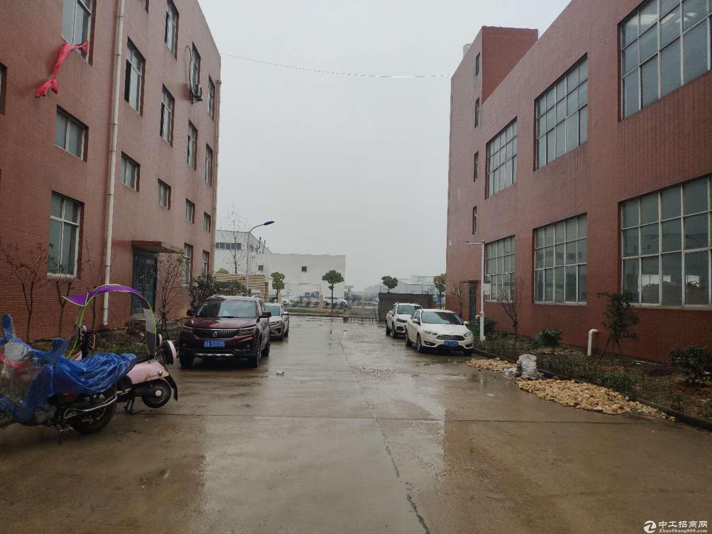 武汉新港阳逻厂房出售2413平米独栋框架厂房 证件齐全可过户-图3