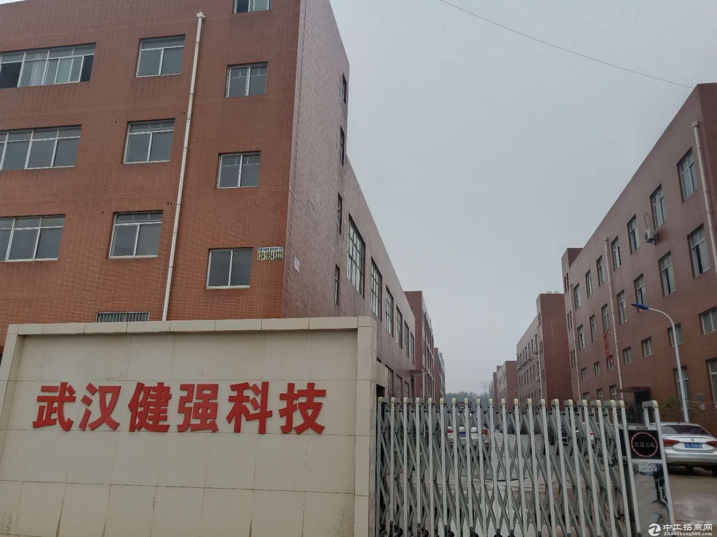 武汉新港阳逻厂房出售2413平米独栋框架厂房 证件齐全可过户-图4