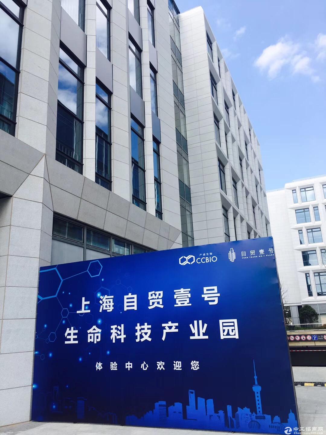 上海自贸区可环评生物医药实验室GMP厂房出租-图6