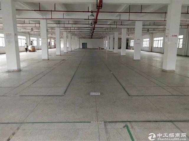 江高镇工业区新出标准厂房仓库出租，2000平