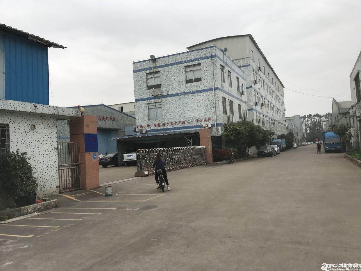 番禺南村独院单一层厂房3200平米出租可做仓库或者生产