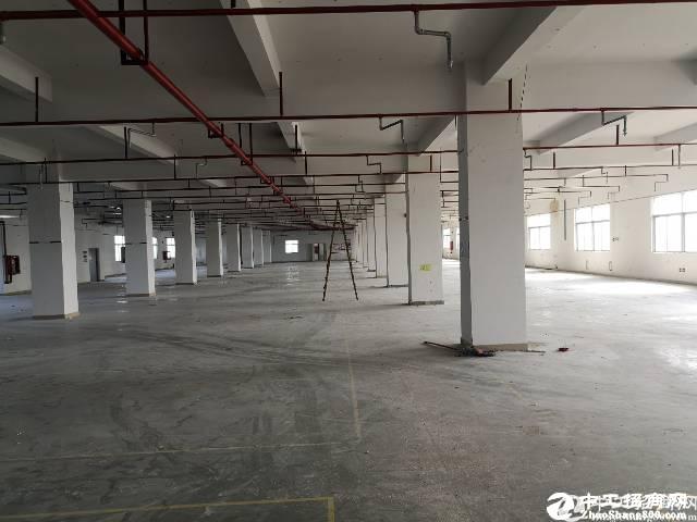 西丽阳光工业区新出楼上整层面积3200平厂房出租
