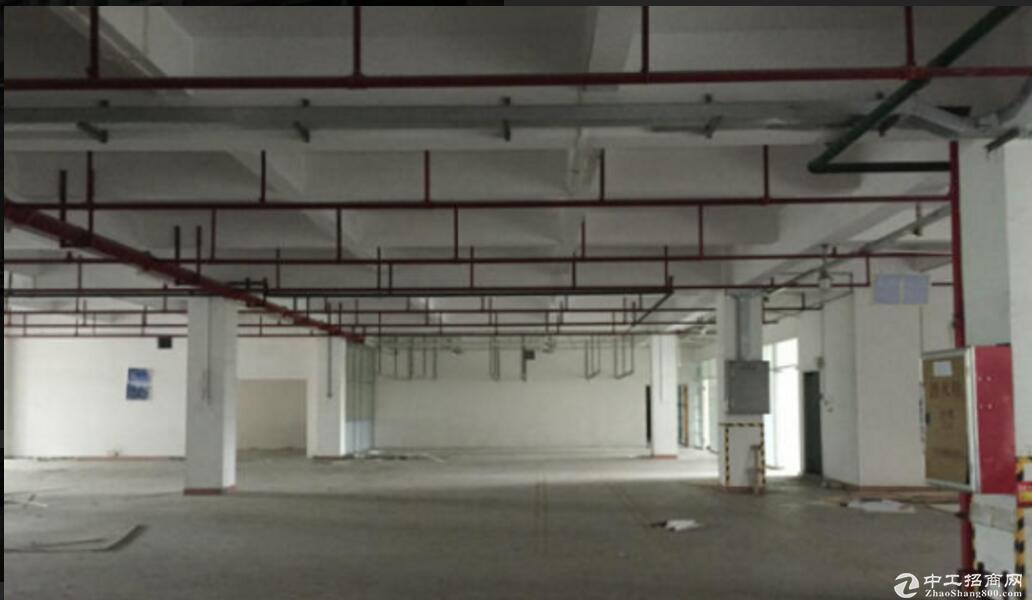 (出租) 正规工业园区厂房仓库5000平米，可分租，500平起租