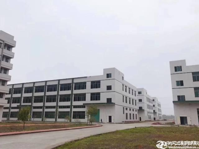 江高独门独栋标准厂房仓库1600平招租，可分租