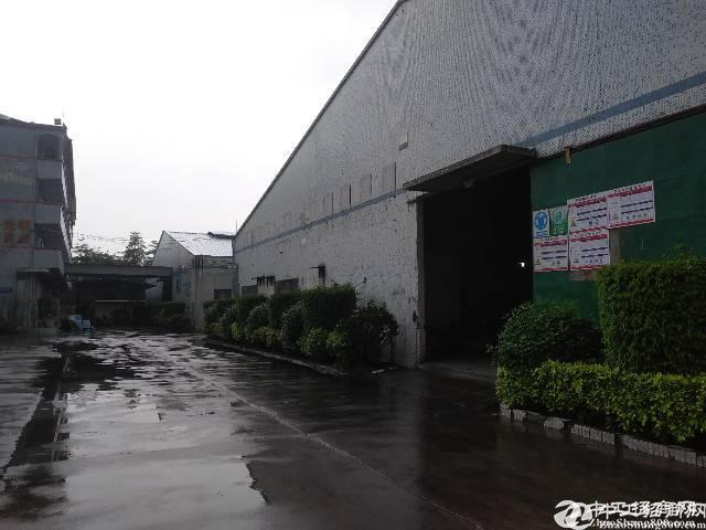 白云区江高镇15000方单一层钢构厂房仓库出租，可分租