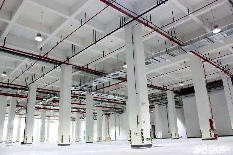 黄埔开发区21500方仓库出租，滴水9.8米，可同时20辆车装卸货