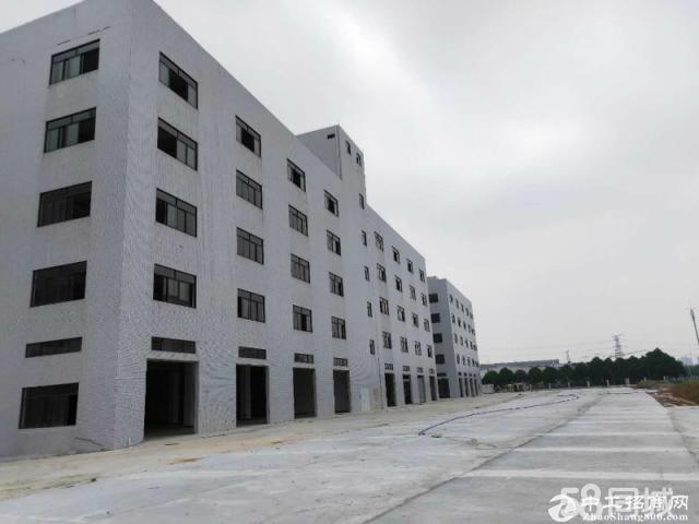 新塘高新科技产业园5万平方厂房仓库出租4500分租