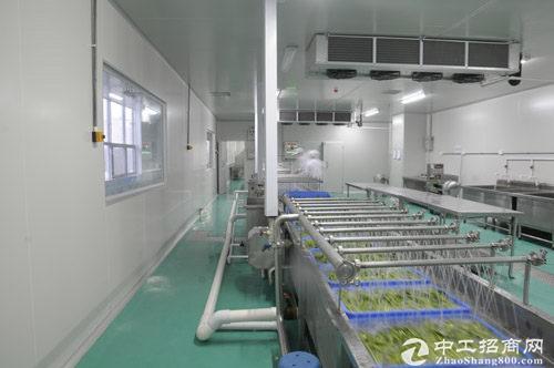 武汉东西湖区厂房，食品加工企业的首选源香食品产业园