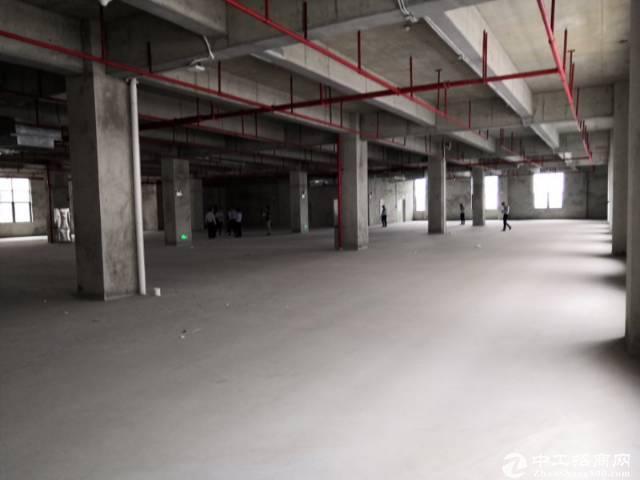 广州标准厂房9000平方可办环评仓库带市政排污（食品）
