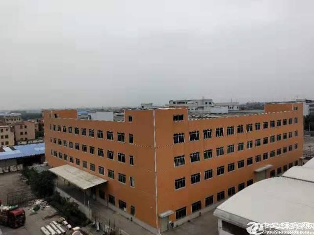 广州市黄埔区荔联街道14800平标准厂房仓库独栋招租