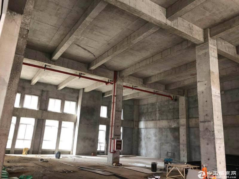 南京栖霞 经济开发区500㎡ 框架厂房出租层高7.2米