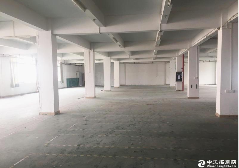 番禺南村新建全新标准厂房仓库3500平方，有证可办环评