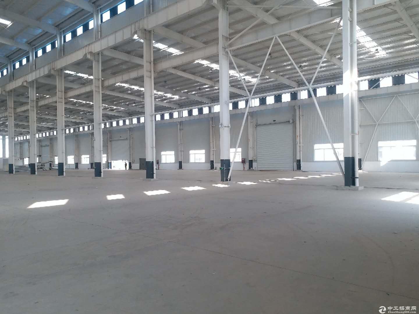 新兴工业园全新钢结构厂房，可分租-图3