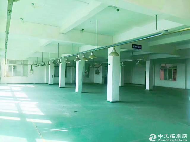江高水沥工业区独门独院8800平标准厂房仓库出租，可办环评