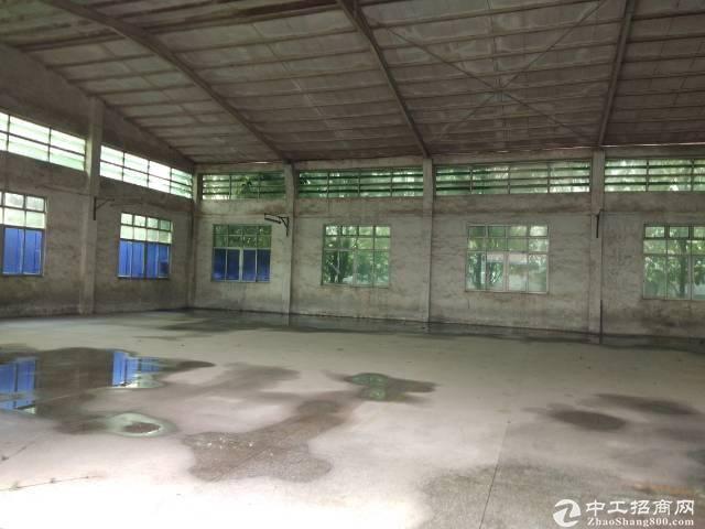广州黄埔经济开发区新出单一层钢构，只做仓库，可分租