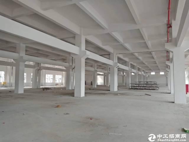 江高南岗民营科技园可分租8800平标准厂房仓库出租，能办环评