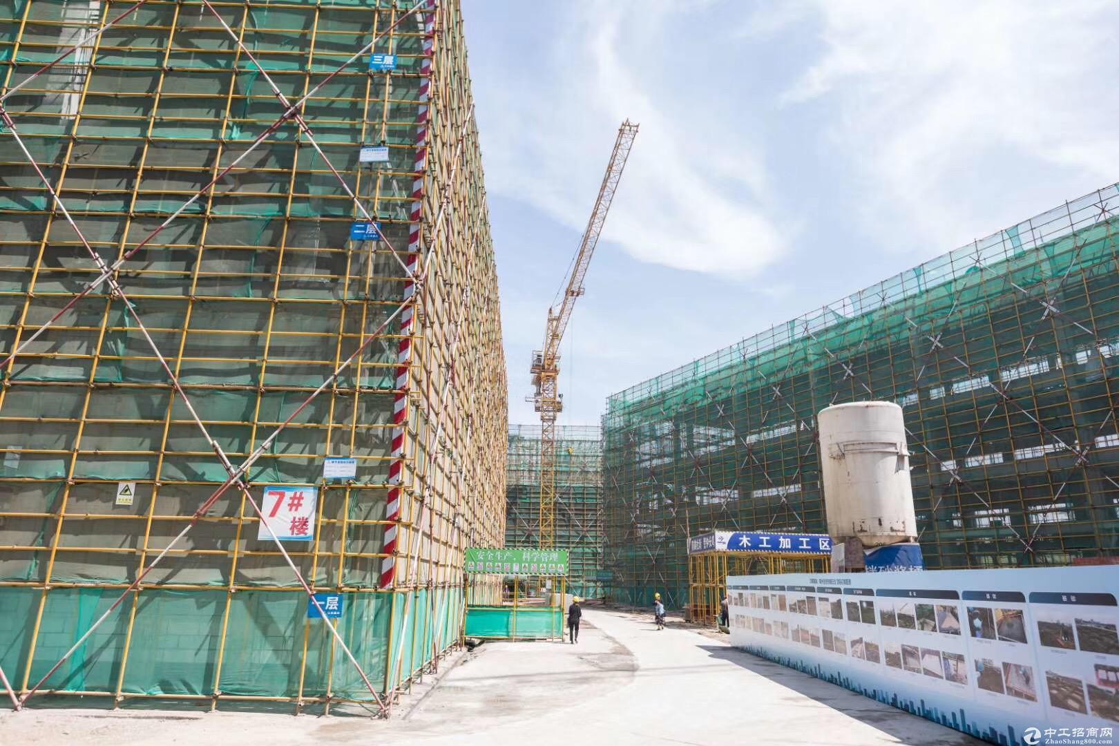 开发商直售 独栋厂房挑高8.1米 双证齐全 龙江高架旁-图2