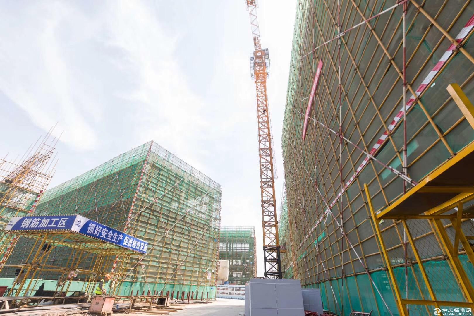 开发商直售 独栋厂房挑高8.1米 双证齐全 龙江高架旁-图5