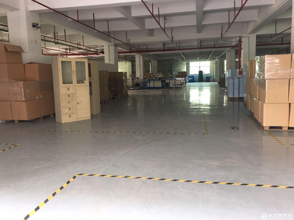 平湖新木原房东单一层厂房2400平方米标准厂房招租