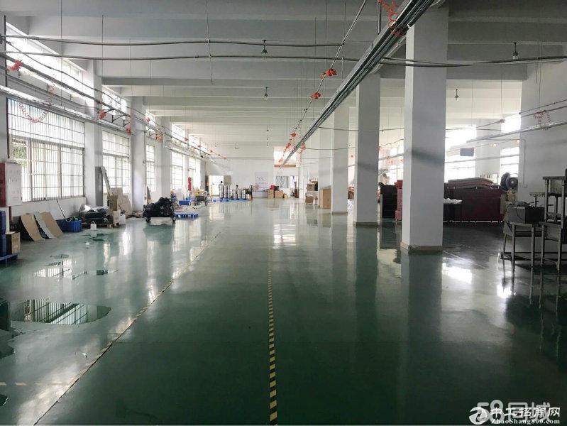 近地铁，南浦独院3600方带装修电商办公厂房仓库出租.