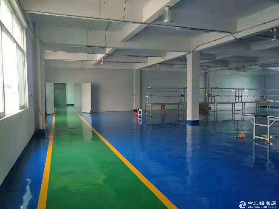 番禺江南村新空出标准厂房仓库1100平米，有环评，可办证