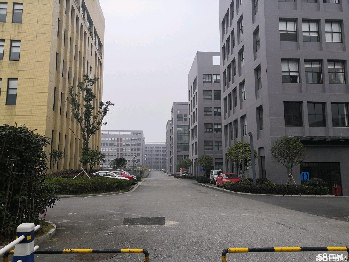 长沙高新区大型工业园厂房大面积出租可分租