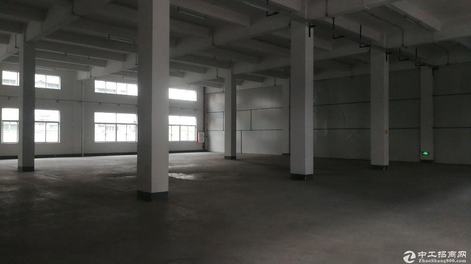 要找一楼层高6米的看过来，番禺化龙1150平方厂房招租