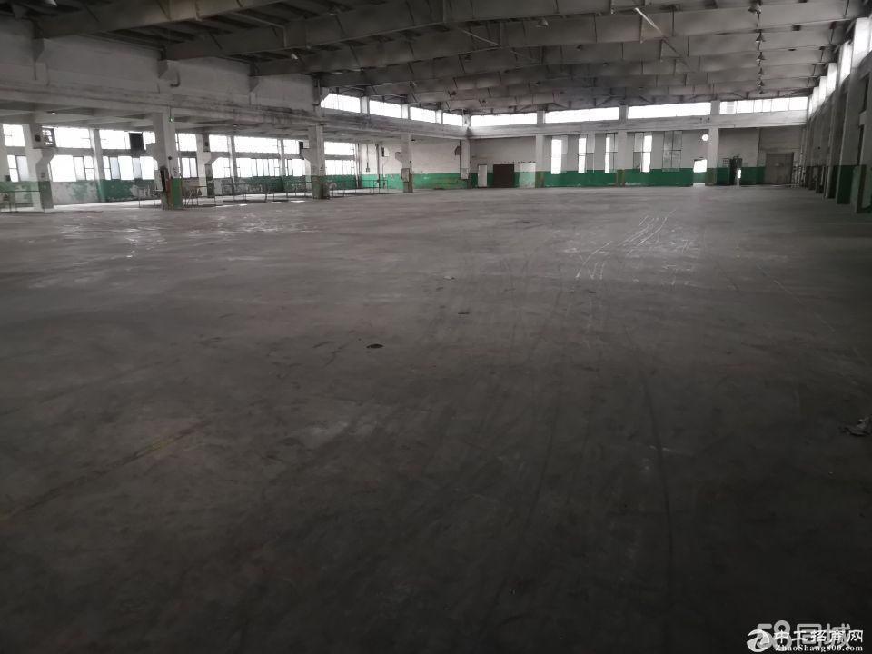 黄浦永和经济开发区单一层厂房 仓库 15000平米