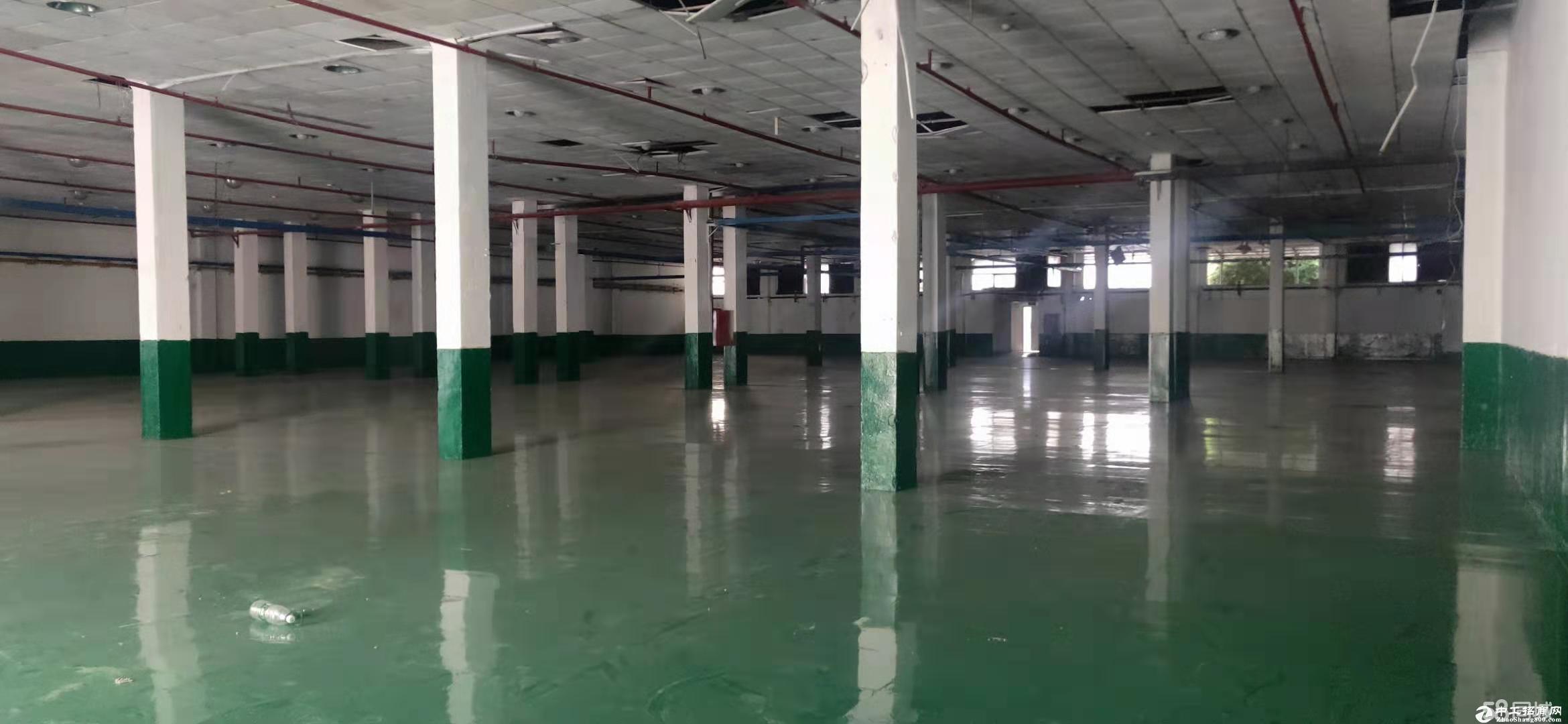 平湖富民工业区钢构3500平7米高带卸货平台仓库出租