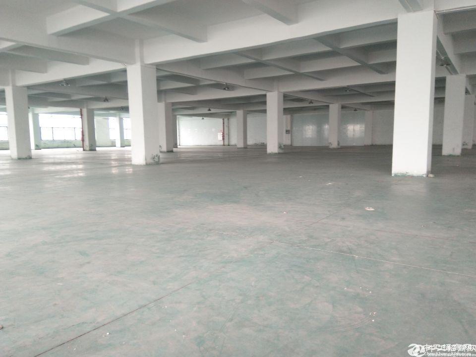 番禺大石工业区标准厂房仓库1300平米出租